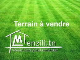 Terrain à tabarka  300m² a la plage