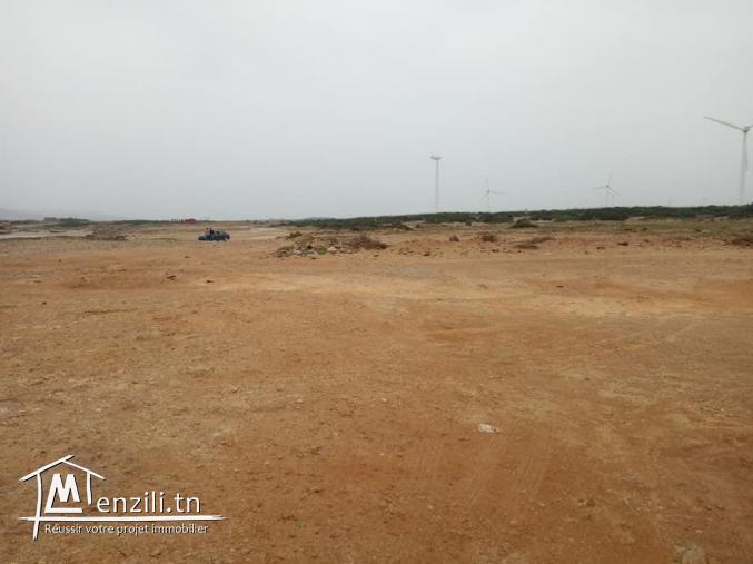 4 hectares pieds dans l'eau à Elhouaria!! Contacter: 90.611.201