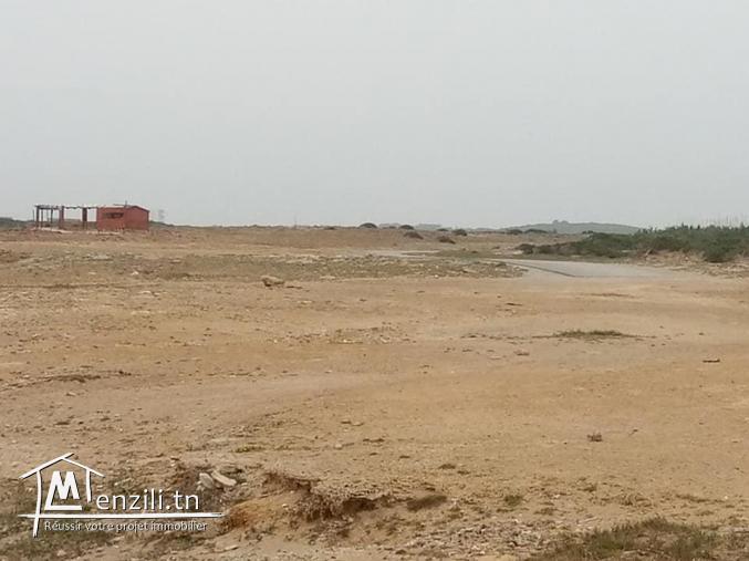 4 hectares pieds dans l'eau à Elhouaria!! Contacter: 90.611.201