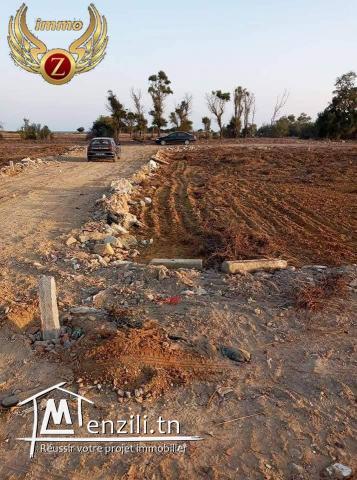 أراضي فی قلیبیه علی البحر مباشره  55201288