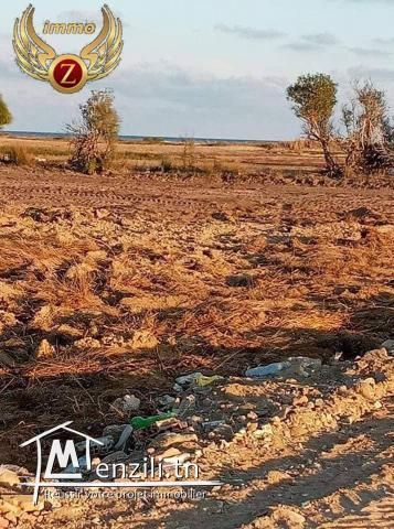 أراضي فی قلیبیه علی البحر مباشره  55201288