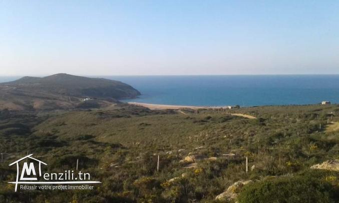 Terrain plage cap fartas takilsa