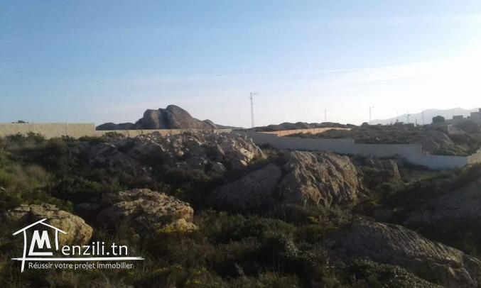 Terrain plage cap fartas takilsa