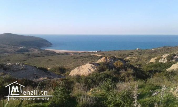 Terrain plage cap fartas takilsa