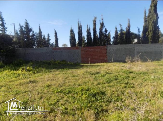 Terrain gammarth a vendre