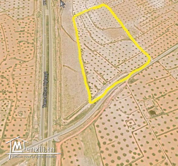 Terrain de 6 Hetares à vendre à Manzel Hayet