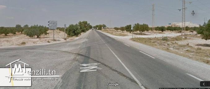 Terrain de 6 Hetares à vendre à Manzel Hayet