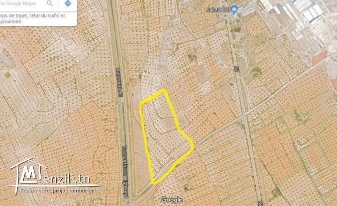 Terrain de 6 Hetares à vendre à Manzel Hayet