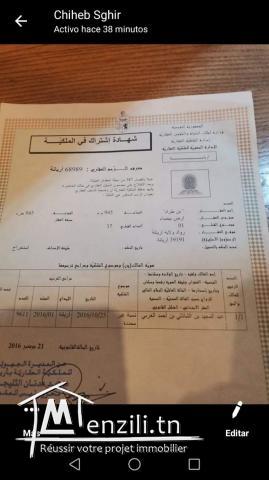 أرض للبيع مساحتها 211 متر مربع رواد الشط