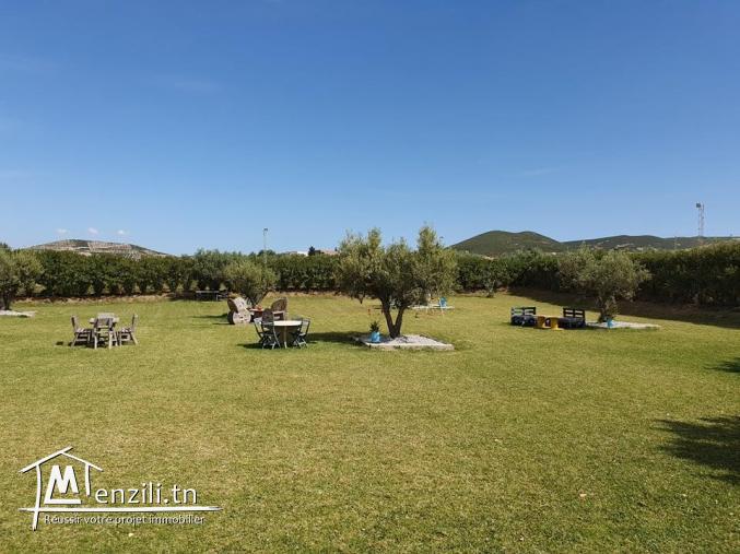 A Vendre ferme de 8 hectares avec piscine à Mornag