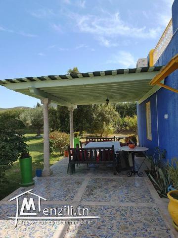 A Vendre ferme de 8 hectares avec piscine à Mornag