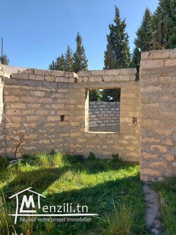 Terrain a ksour essef de 352 m2 en Face mosque' errahma 
