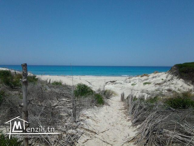 Terrain au bord de la plage à Rtiba