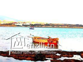 أرض مساحتها 250 متر مربع