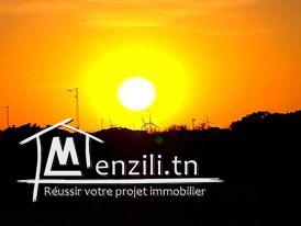 أرض مساحتها 250 متر مربع