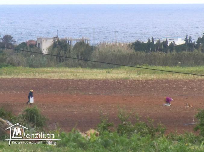 1 hectar a vendre a vendre vue dégagée a la plage