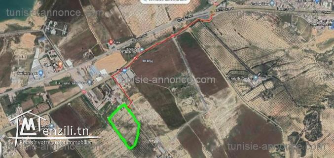 terrain bien orienté à Mornaguia