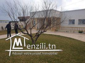 une charmante villa a Haouaria Argoub