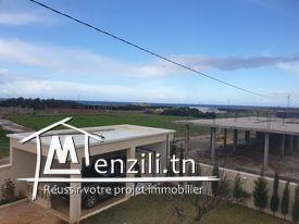 une charmante villa a Haouaria Argoub