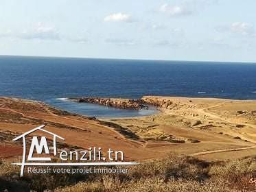 Maison inachevé à El haouaria