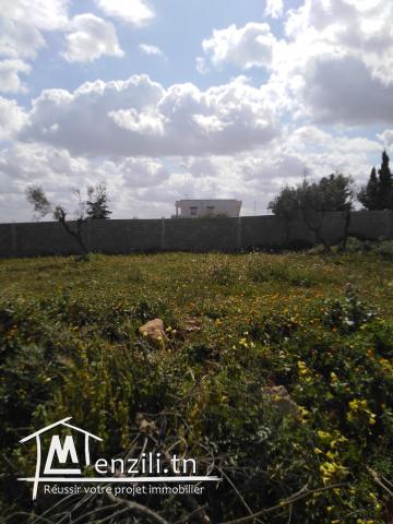 أرض للبيع في حدائق المنزه 3