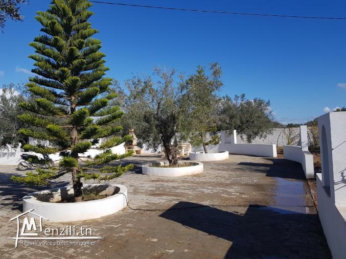 Une villa haut standing avec terrain agricole