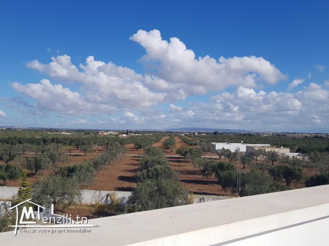 Une villa haut standing avec terrain agricole