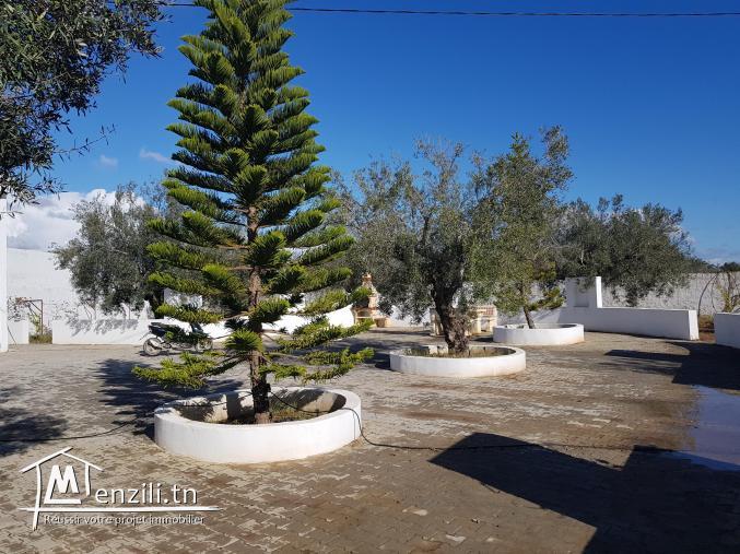 Une villa haut standing avec terrain agricole