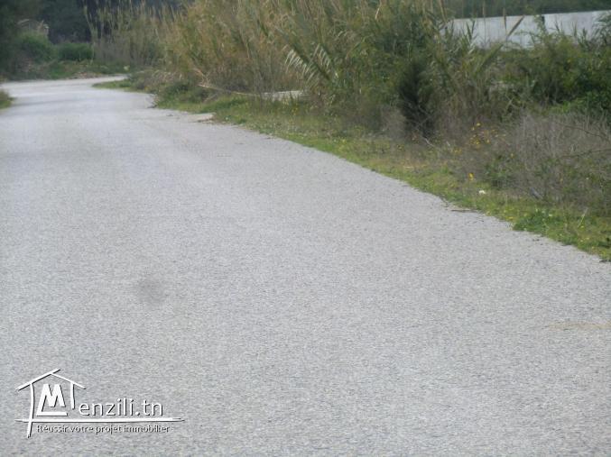 4000m² a vendre opportunité directement sur la route goudronnée