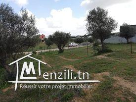 Terrain à vendre à Manouba Sanhaja