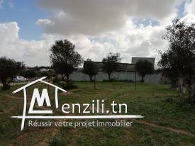 Terrain à vendre à Manouba Sanhaja