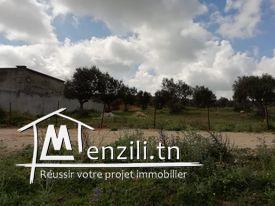 Terrain à vendre à Manouba Sanhaja