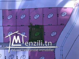 Terrain à vendre à Manouba Sanhaja