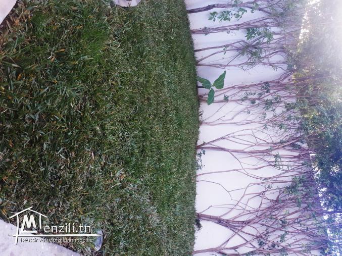 Maison a jardin du Carthage route marsa