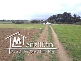 ارض للبيع مساحتها 2850  متر مربع