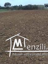 ارض للبيع مساحتها 2850  متر مربع