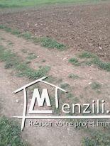 ارض للبيع مساحتها 2850  متر مربع