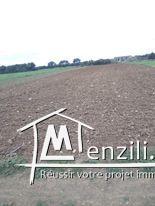 ارض للبيع مساحتها 2850  متر مربع