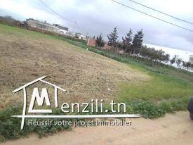 ارض للبيع مساحتها 2850  متر مربع