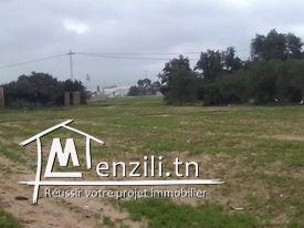 أرض فلاحية للبناء في الأحواز