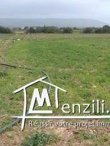 أرض فلاحية للبناء في الأحواز