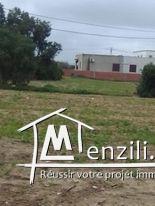 أرض فلاحية للبناء في الأحواز