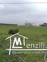 أرض فلاحية للبناء في الأحواز