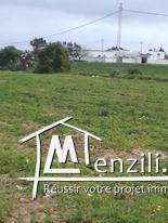 أرض فلاحية للبناء في الأحواز