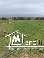 أرض فلاحية للبناء في الأحواز