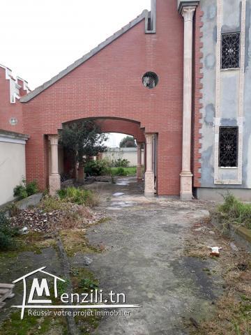 Mini Château Inachevée