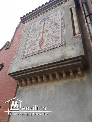 Mini Château Inachevée