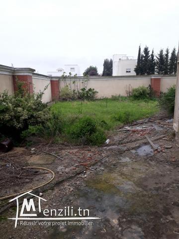 Mini Château Inachevée