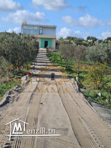 ferme a vendre