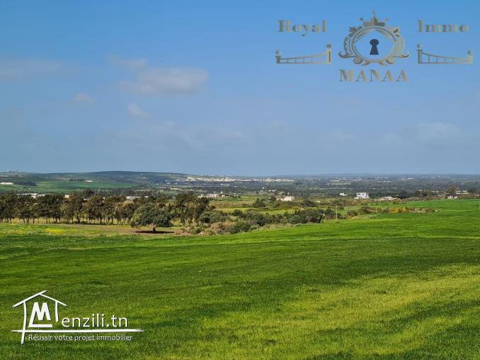 58443378  عروضنا ما توفاش و جمله مكيفهاش